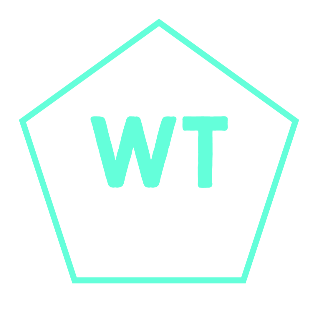 Waleed Tahirs Logo